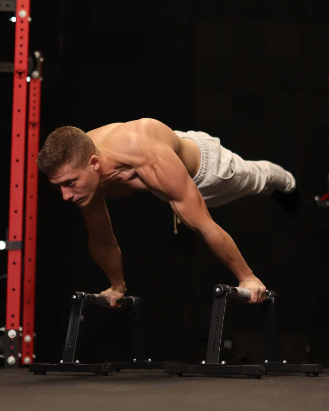 High Chrome Parallettes (Heavy Duty Edition 2.0)