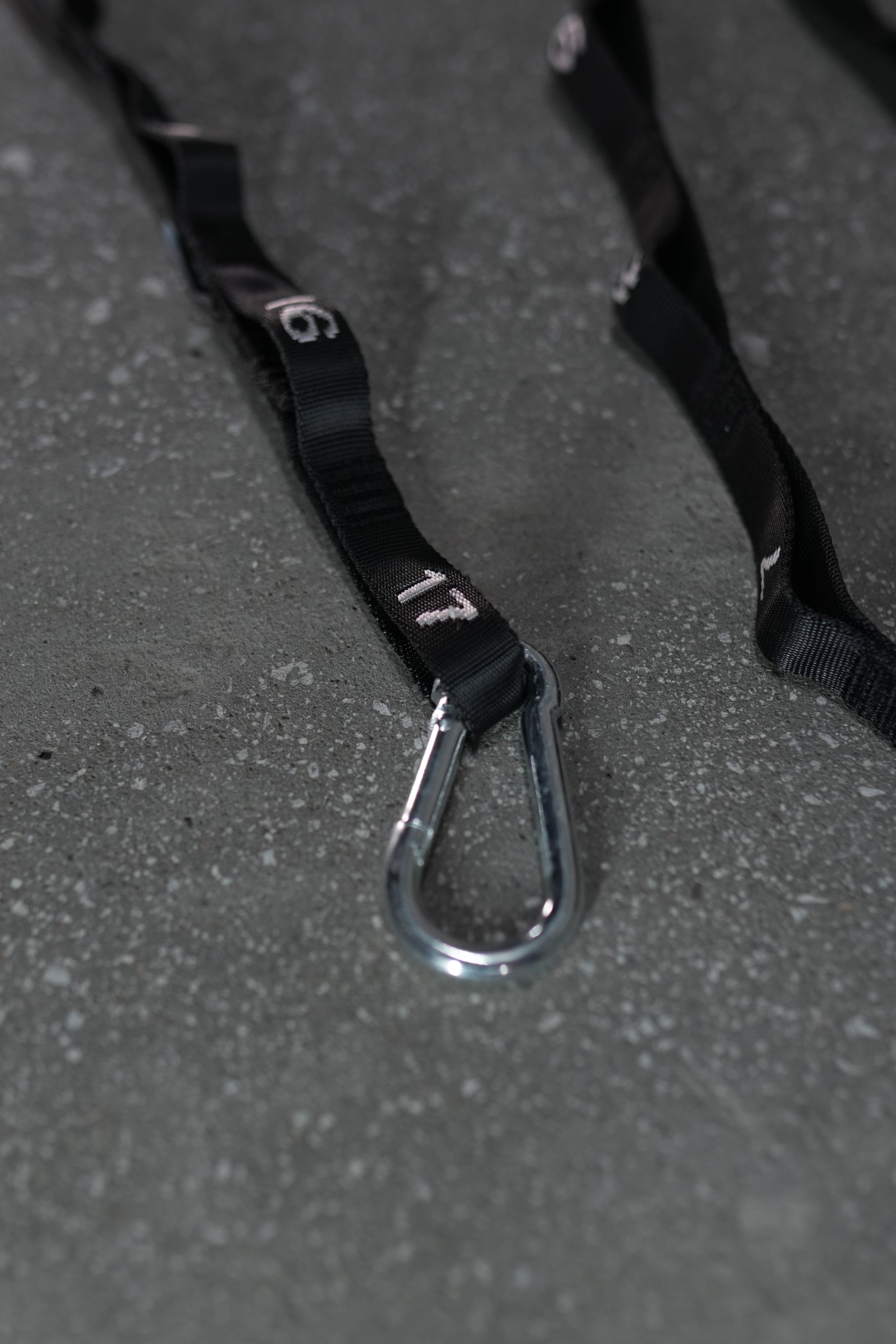 Premium Dip Belt x Rope