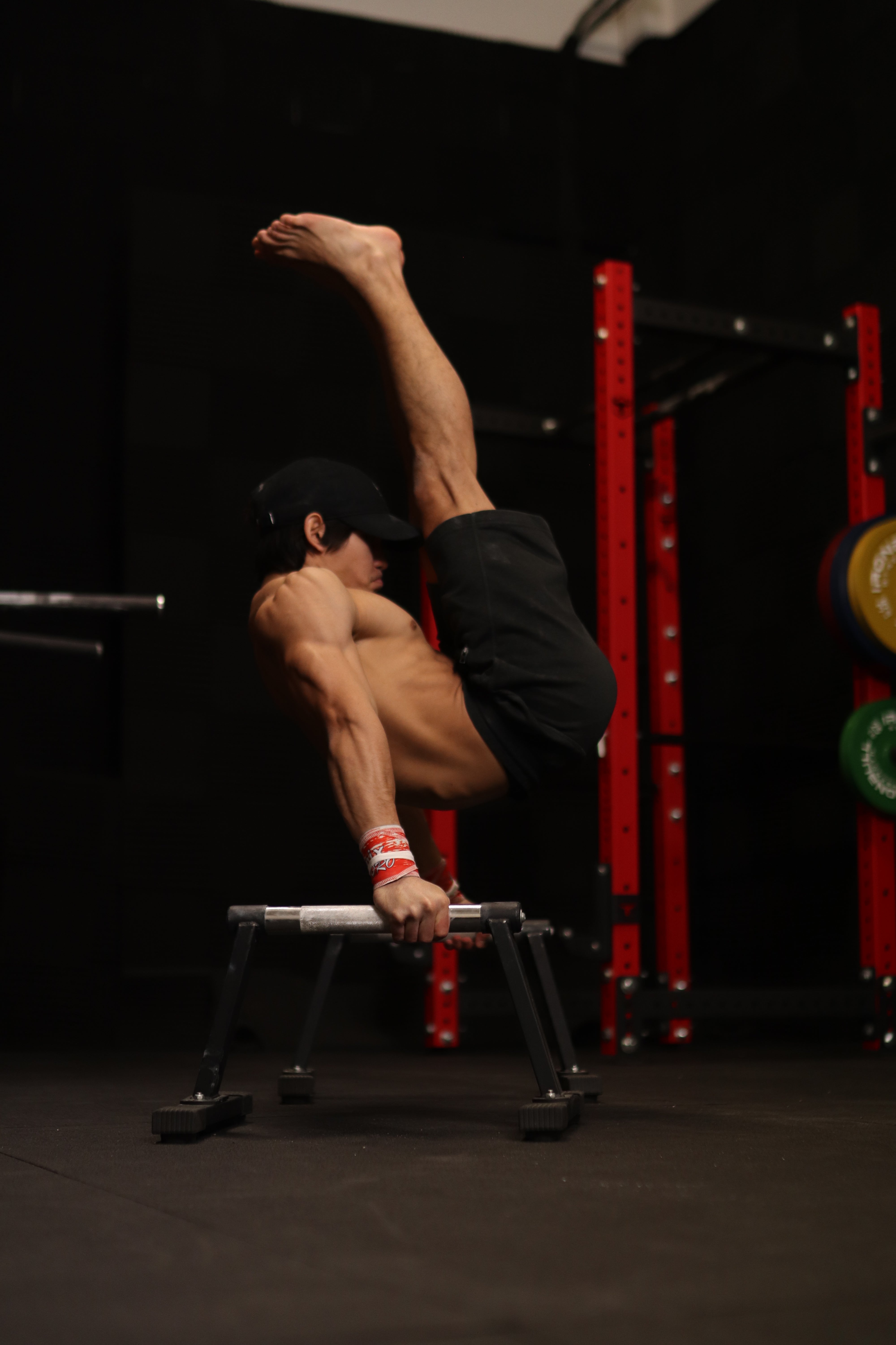 High Chrome Parallettes (Heavy Duty Edition 2.0)