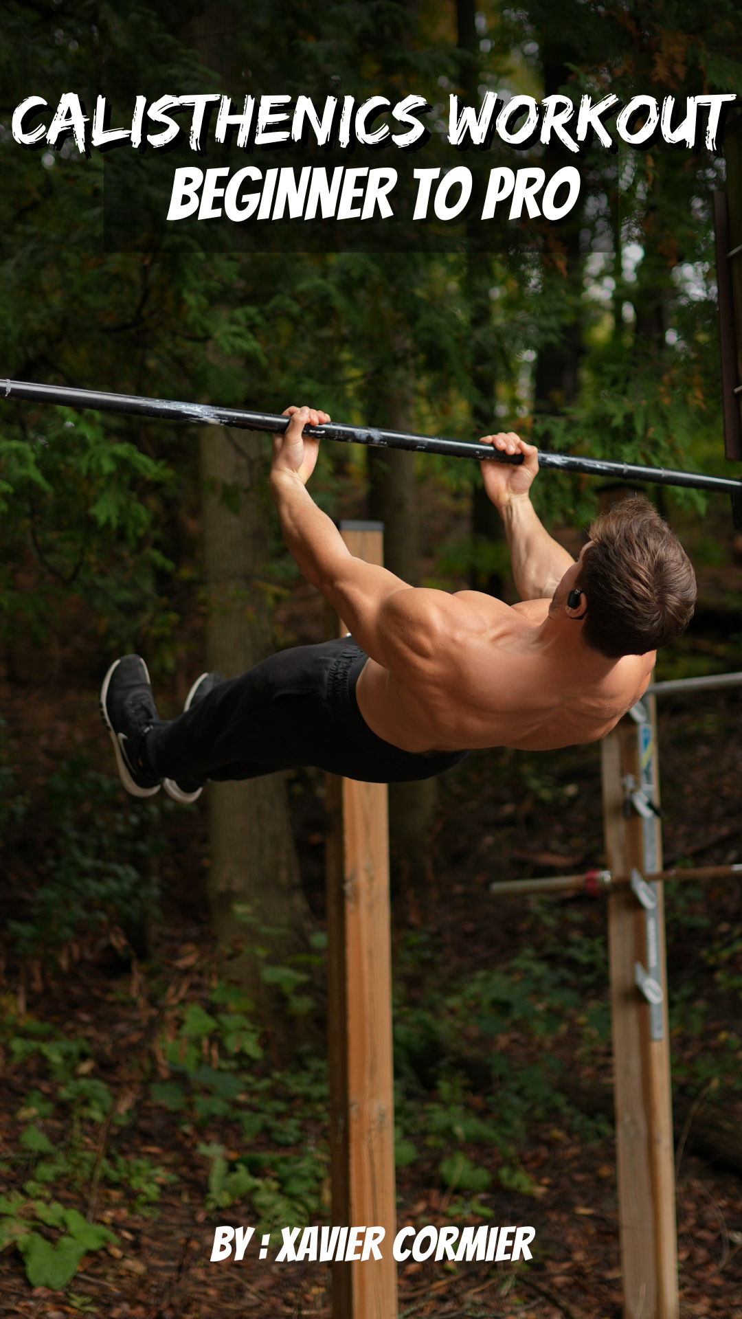 CALISTHENICS WORKOUT ( Beginner to Pro )