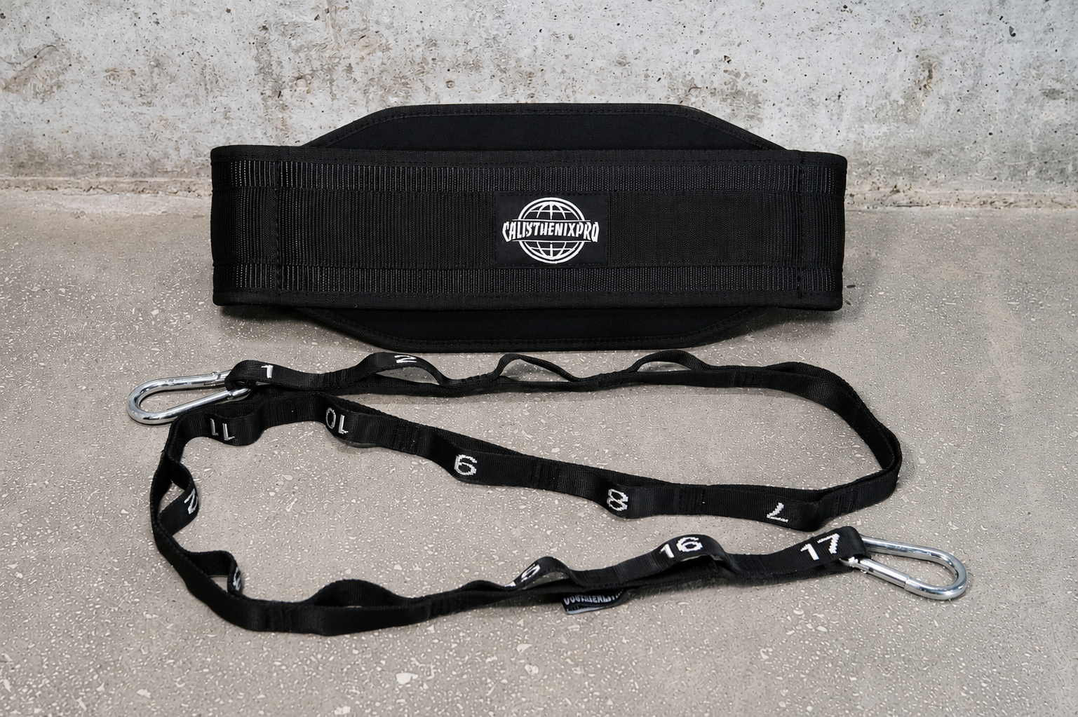 Premium Dip Belt