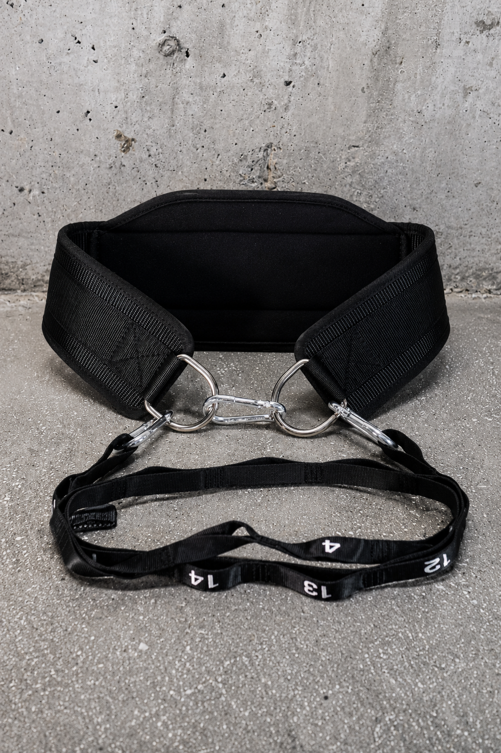 Premium Dip Belt x Rope