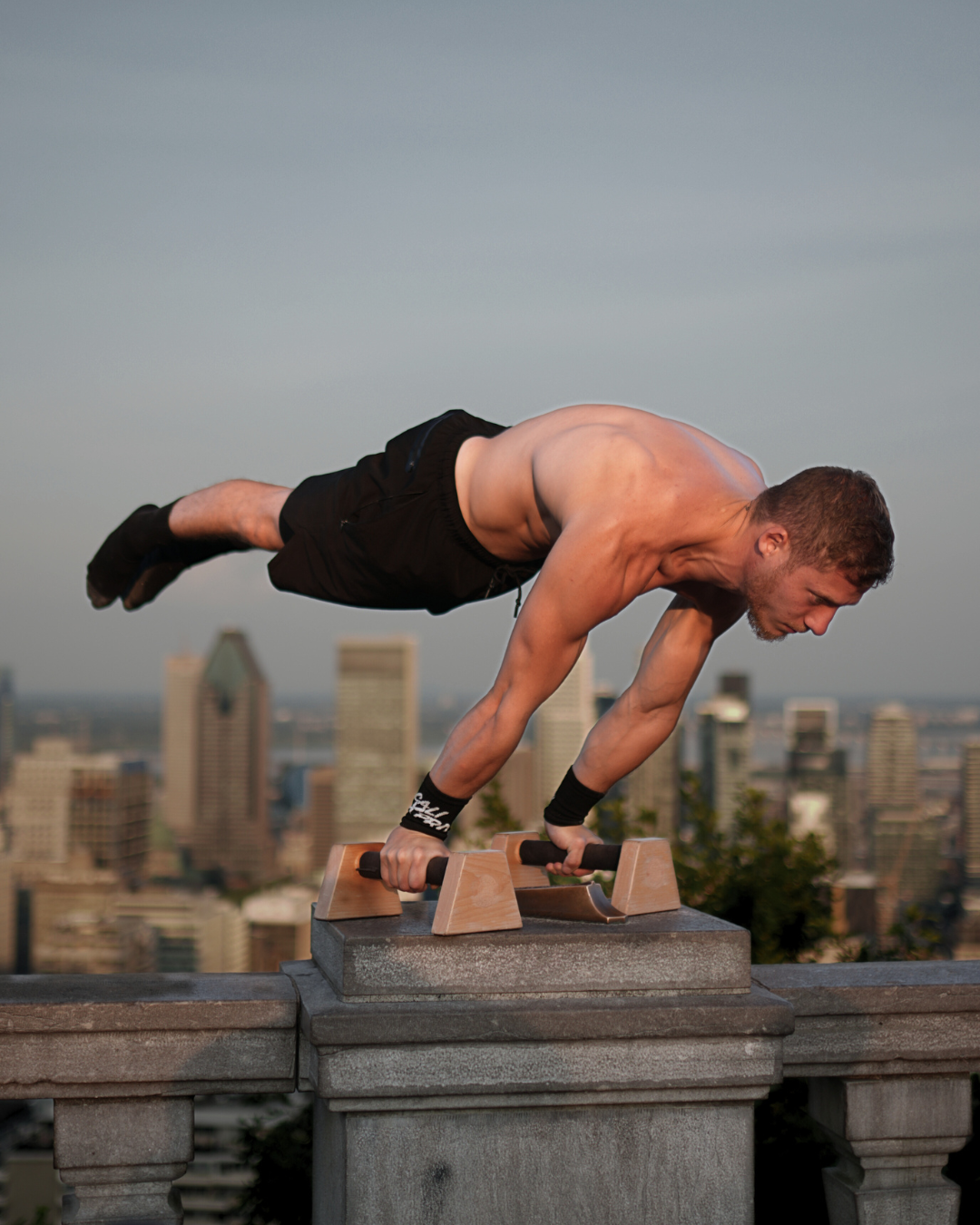 Wooden Parallettes (Travel Edition)