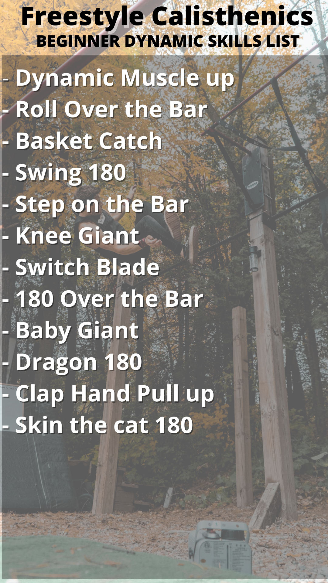 Beginner E Book -HOW TO START FREESTYLE CALISTHENICS