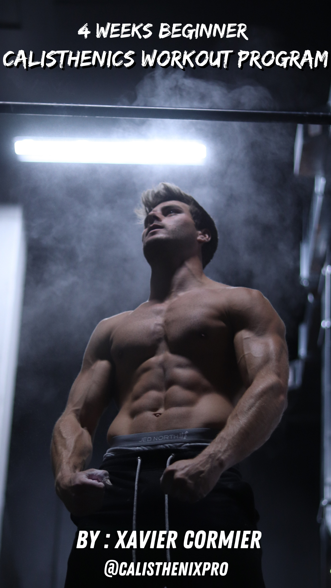 4 Weeks Calisthenics Workout Program (Beginner)